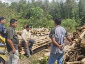 Woodpellet Raw Material Survey