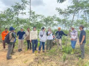 On-Site Visit Regarding the PEFC/FSC Certification Plan